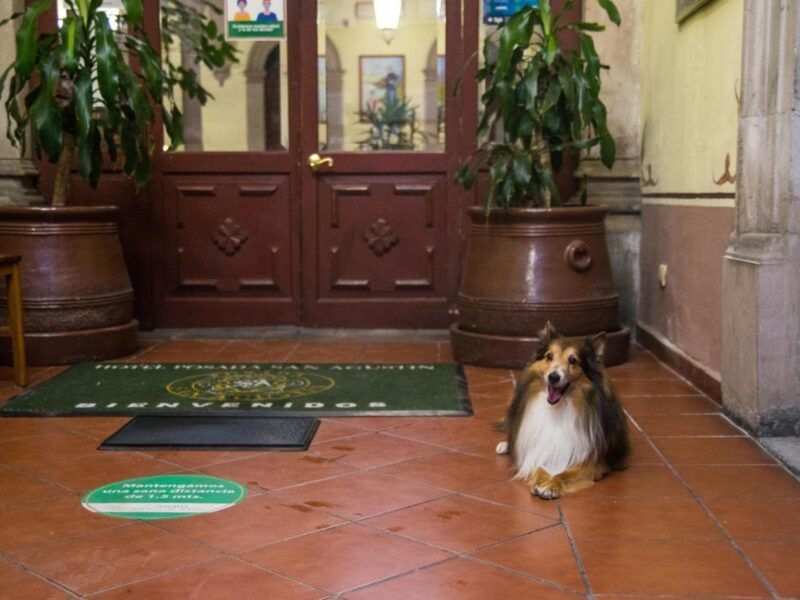 Hotel Posada San Agustin
