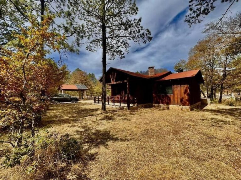 1 Cabana Rincon del Bosque en Durango 768x576